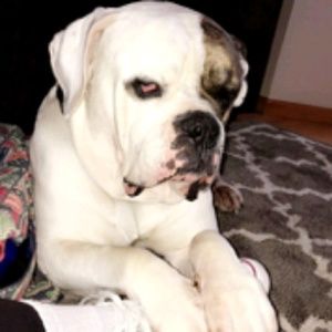 Meet your Posher, Nina